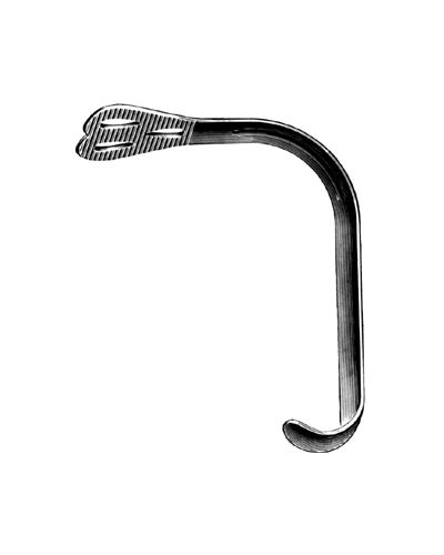 Mouth and Toungh Gag