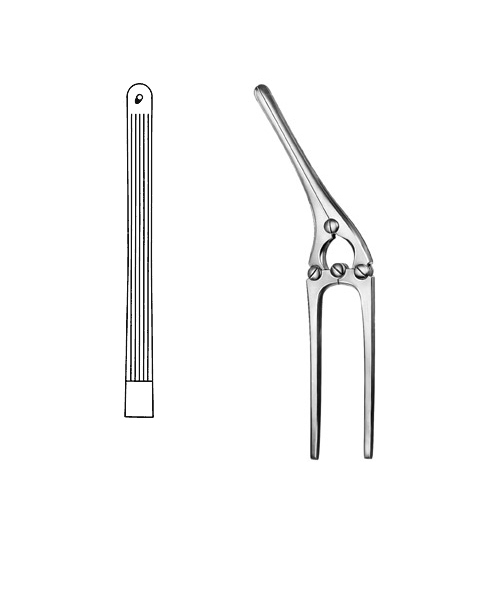 Intestinal and Pylorus Clamp