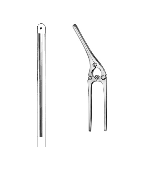 Intestinal and Pylorus Clamp
